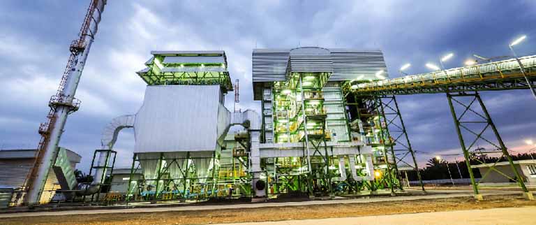planta electrica biomasa
